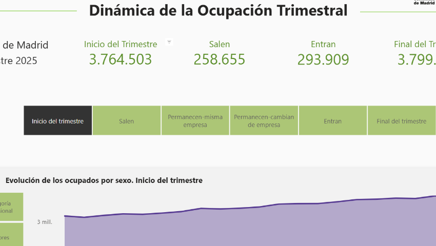 Dinámica de la Ocupación Trimestral